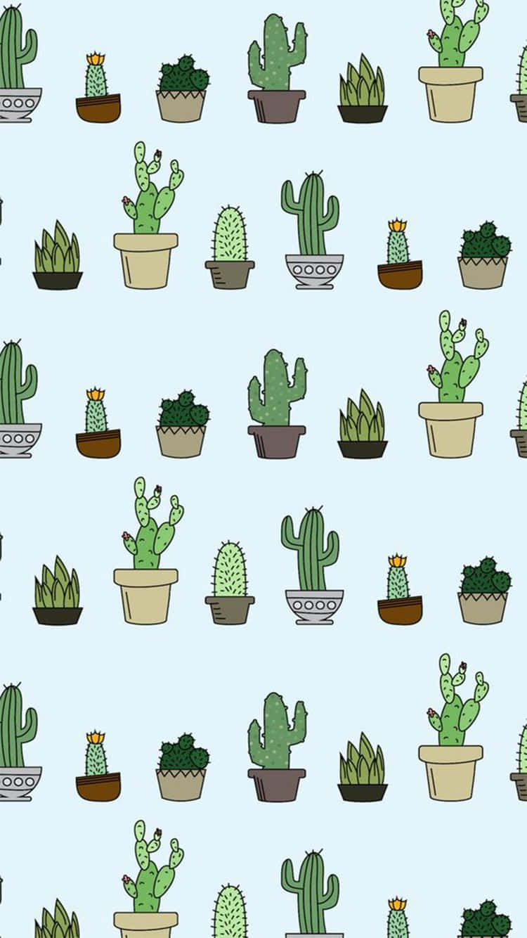 cactus plants, pots, soft blue background, HD Phone Wallpaper