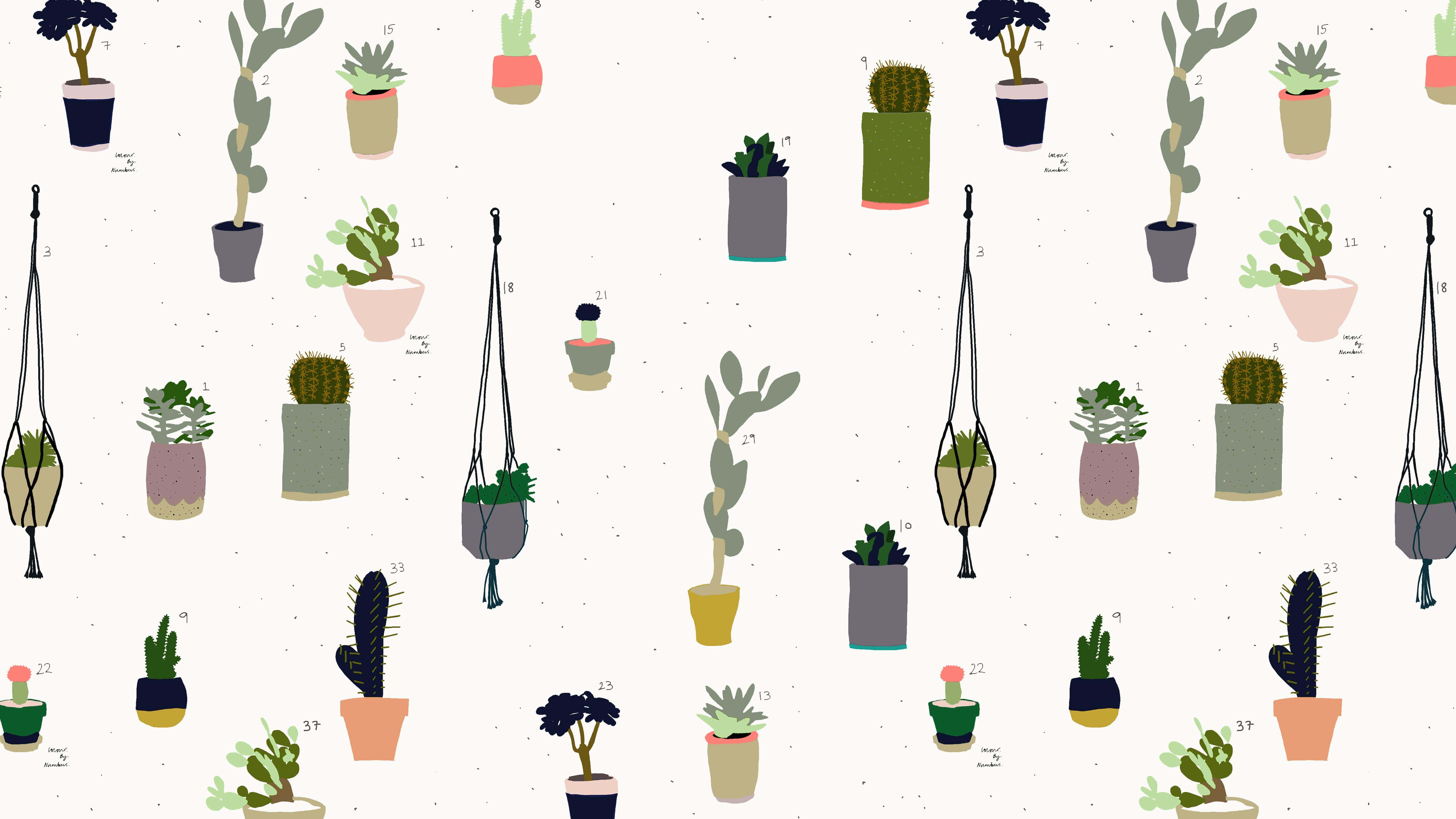 assorted indoor cacti and succulents pattern, colorful pots, hanging macrame planters, 5K Desktop Wallpaper