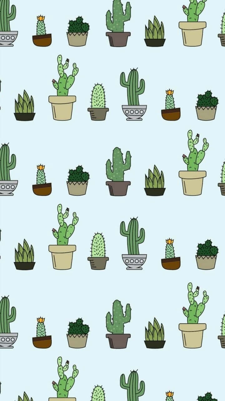 cactus, potted plants, blue background, HD Phone Wallpaper