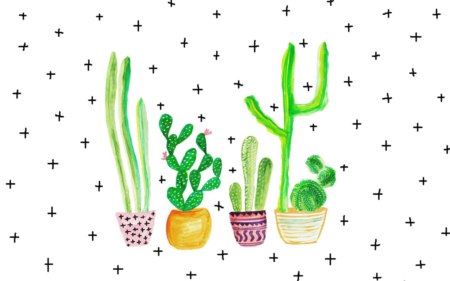 colorful cacti collection, watercolor cacti, patterned pots, HD Desktop Wallpaper