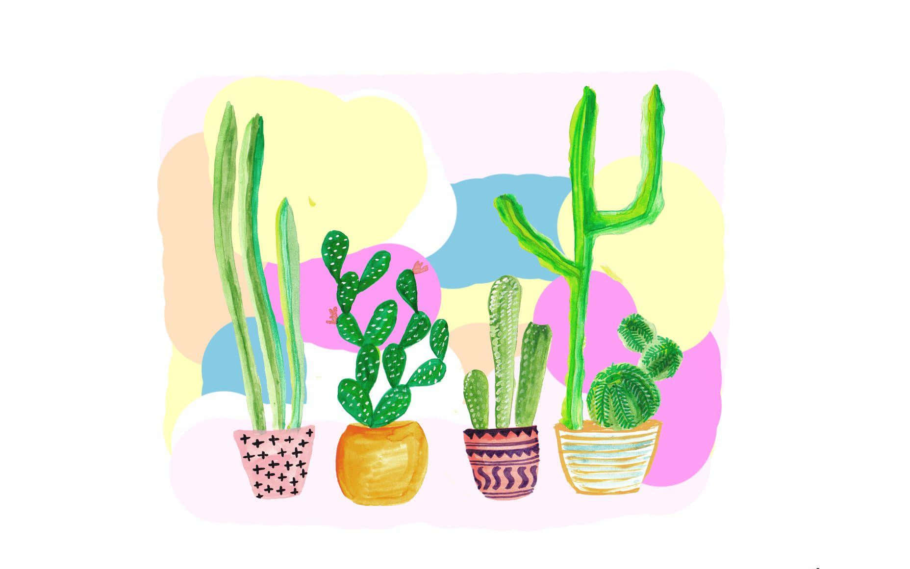 colorful desktop cactus illustration, potted cacti, patterned pots, HD Desktop Wallpaper