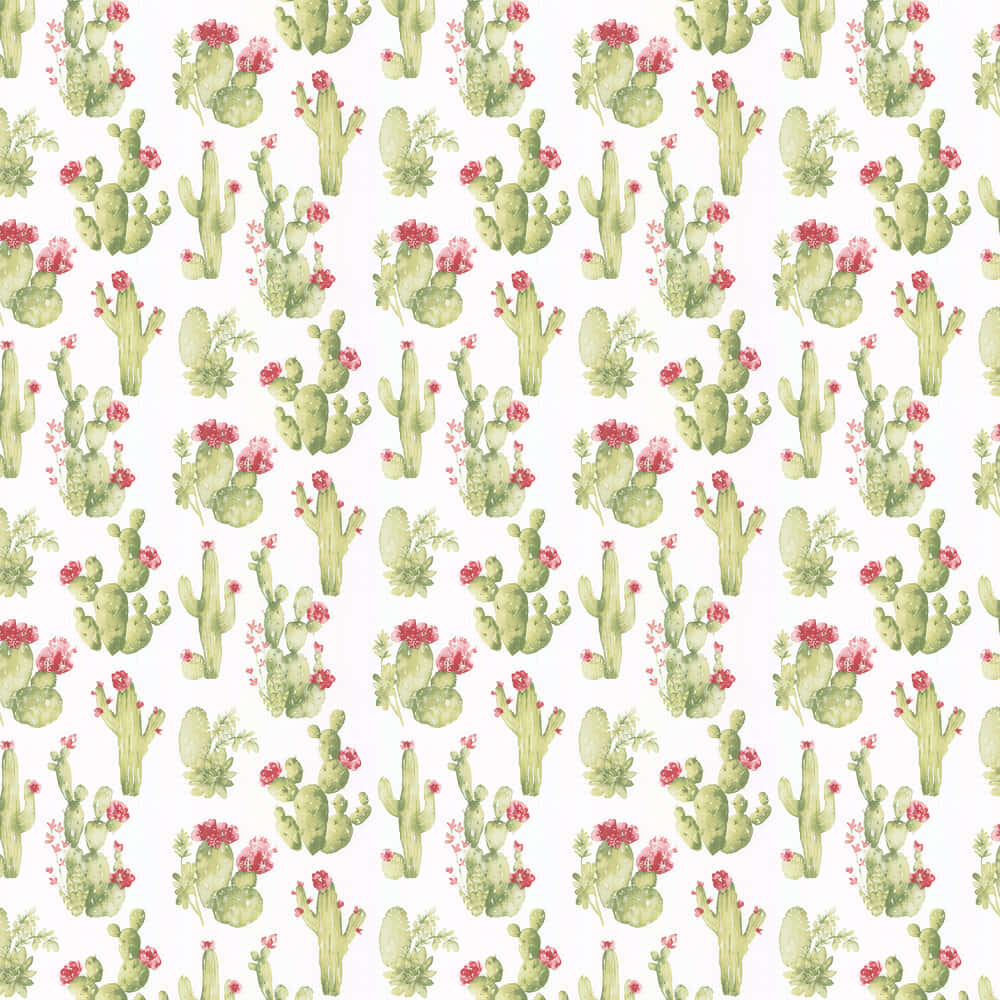 cute cactus flower, watercolor pattern, green cacti, SD Desktop Wallpaper