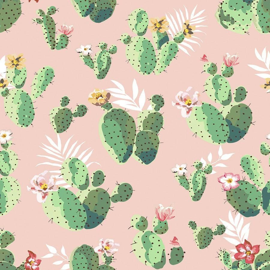 prickly pear cacti, pink and yellow flowers, soft pink background, SD Desktop Wallpaper