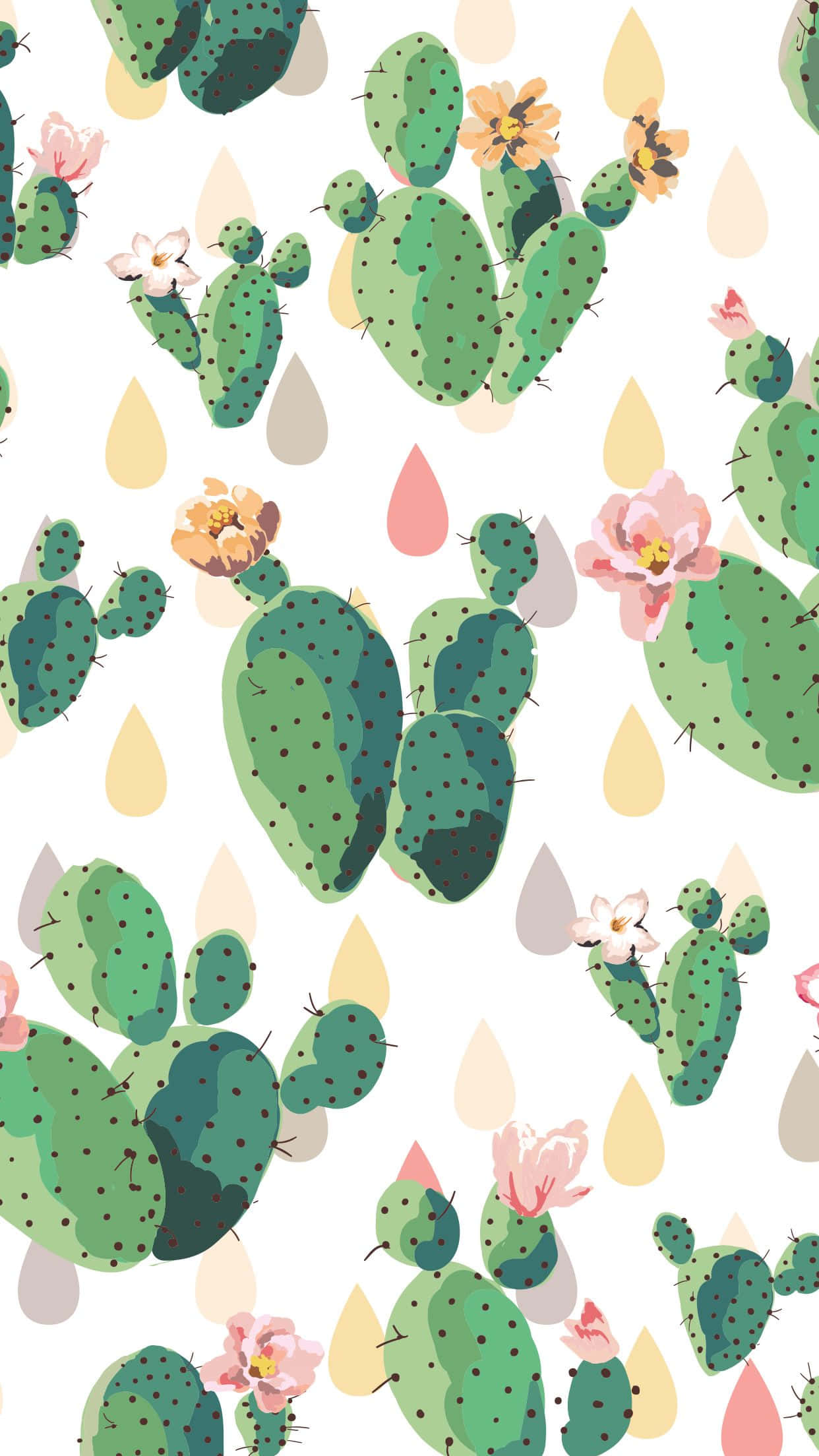 cactus, flowers, pink, Full HD Phone Wallpaper