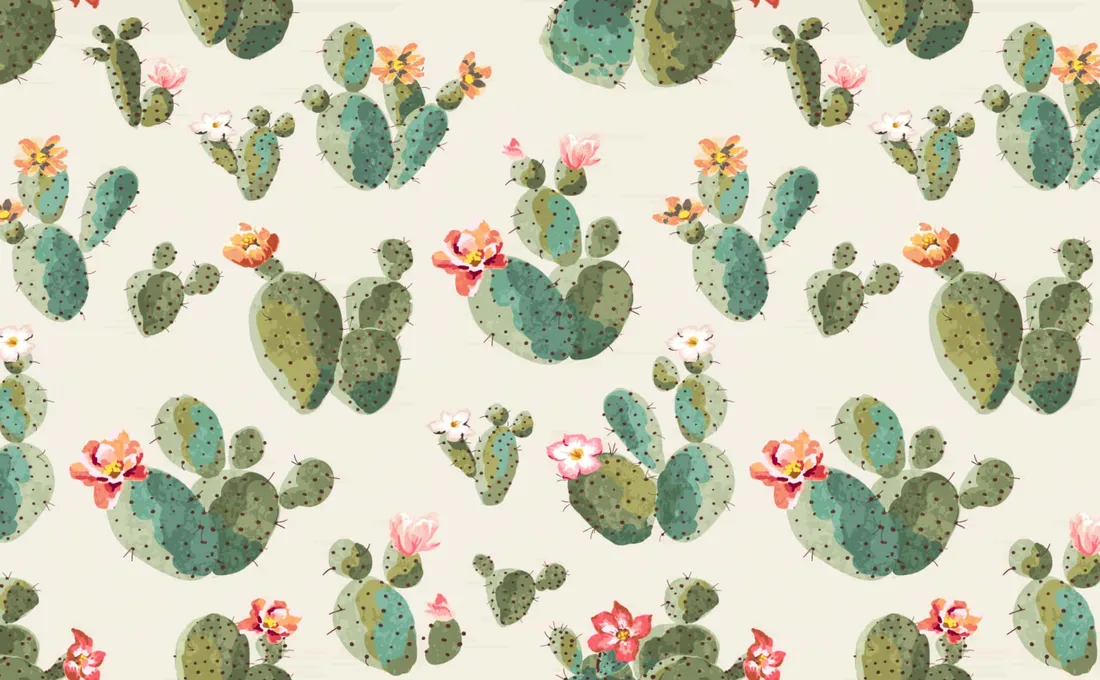Cactus iPhone