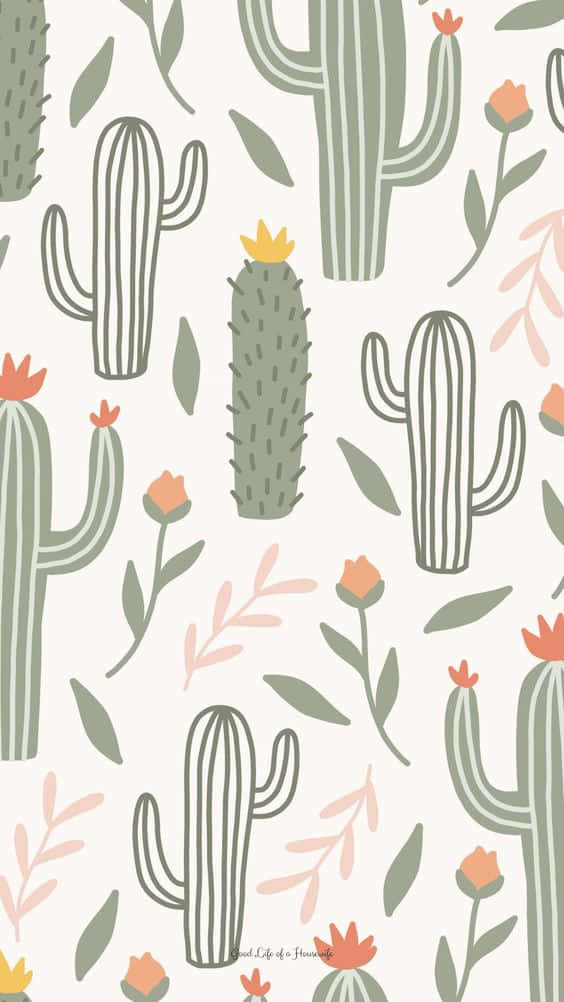 cactus, orange flowers, soft pink foliage, SD Phone Wallpaper