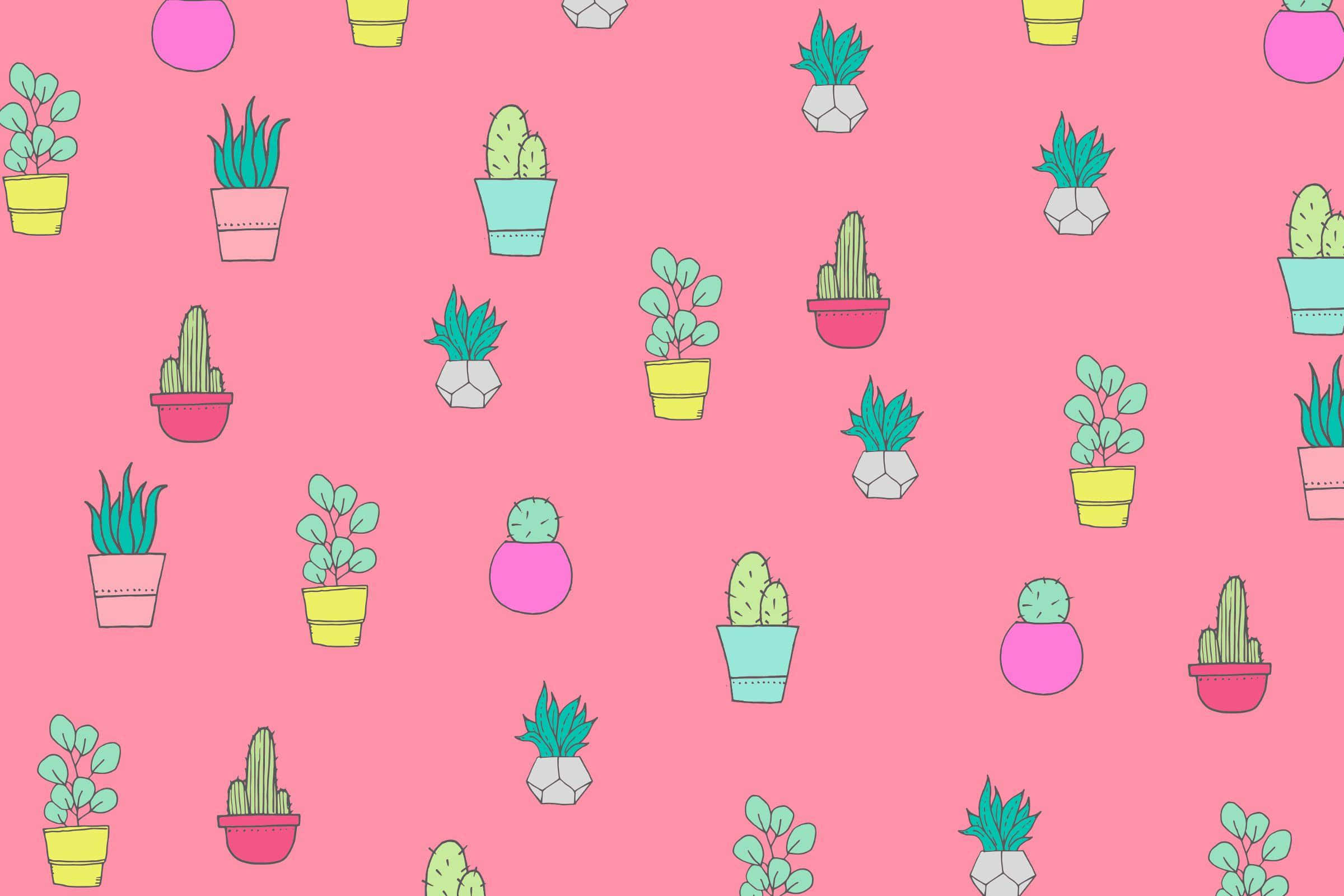cactus pattern, desktop wallpaper, vibrant pink background, Full HD Desktop Wallpaper