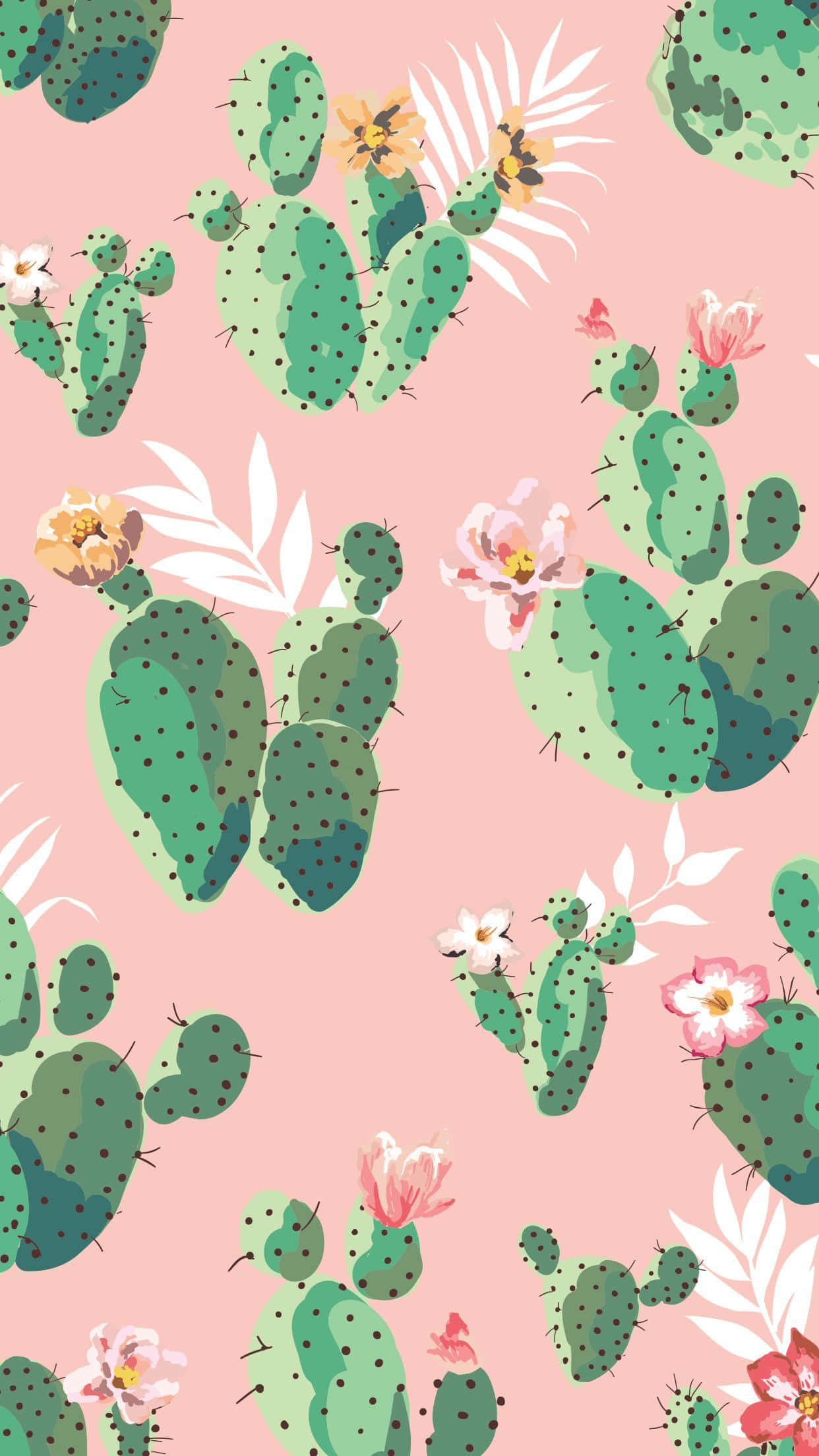 Cactus iPhone, green cacti, pink flowers, Full HD Phone Wallpaper