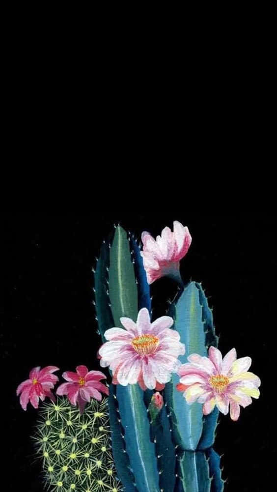cactus, flowers, black background, SD Phone Wallpaper