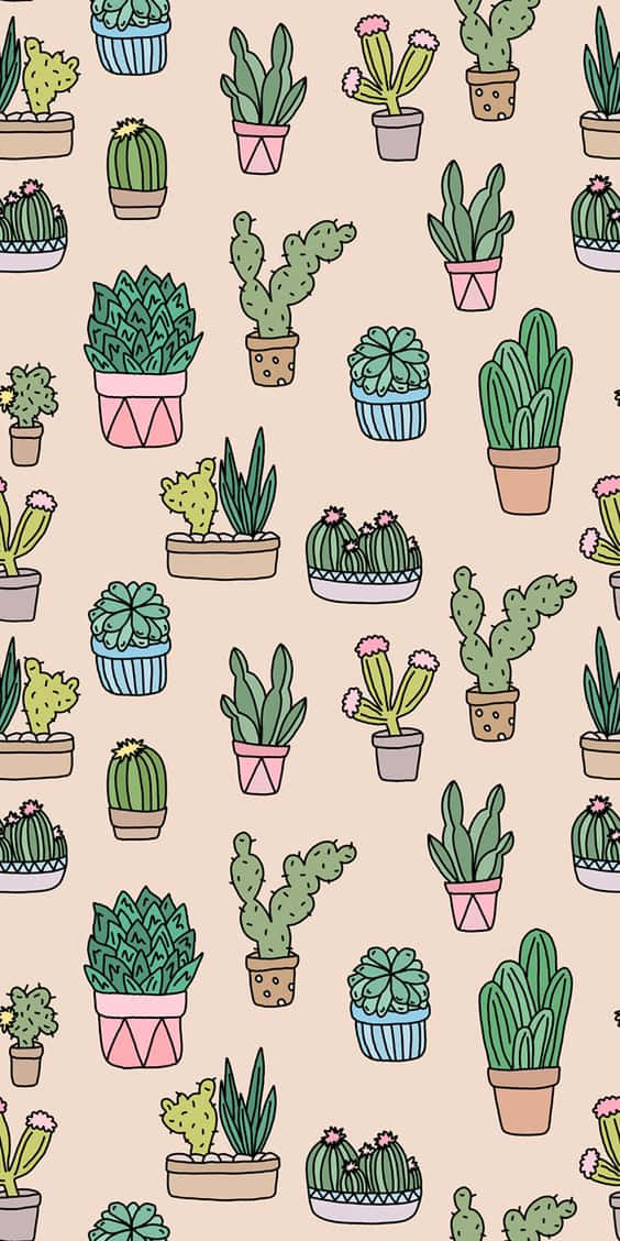 cactus iPhone, cartoon cacti, succulents, SD Phone Wallpaper