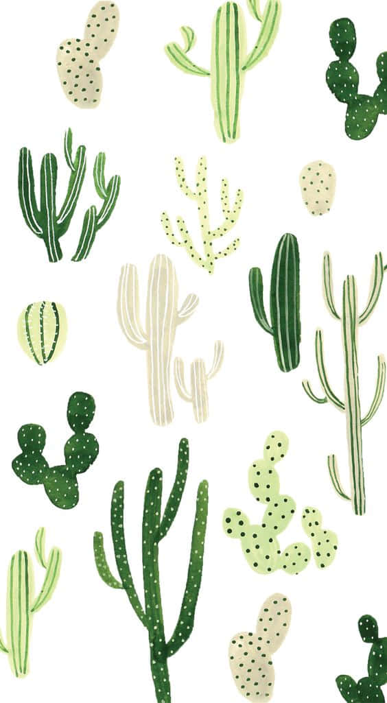 cactus, hand-drawn cacti, greens, SD Phone Wallpaper