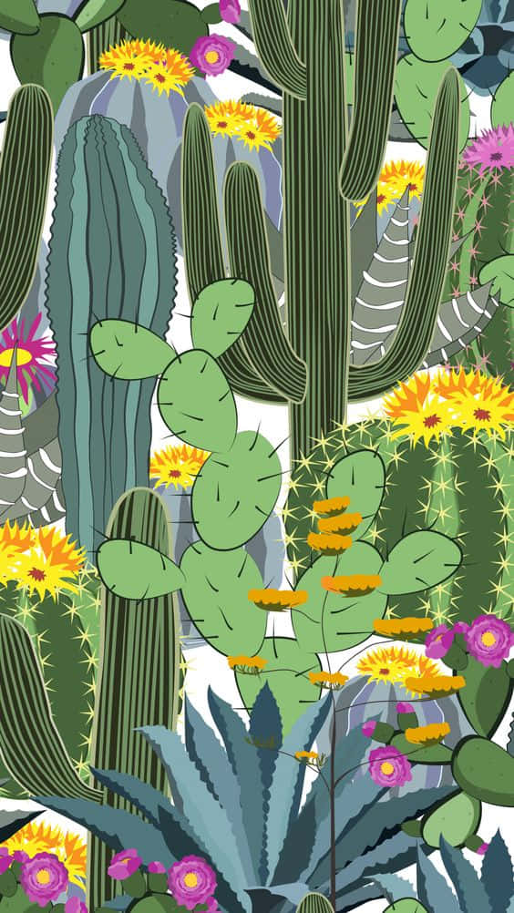 Cactus iPhone, cactus garden, green spiky plants, SD Phone Wallpaper