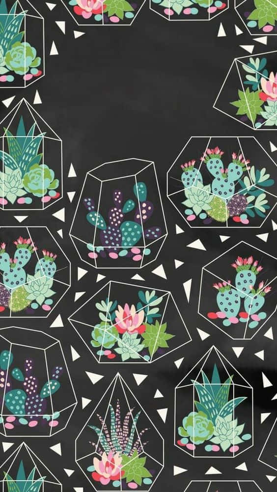 Cactus iPhone, geometric terrariums, colorful succulents, SD Phone Wallpaper