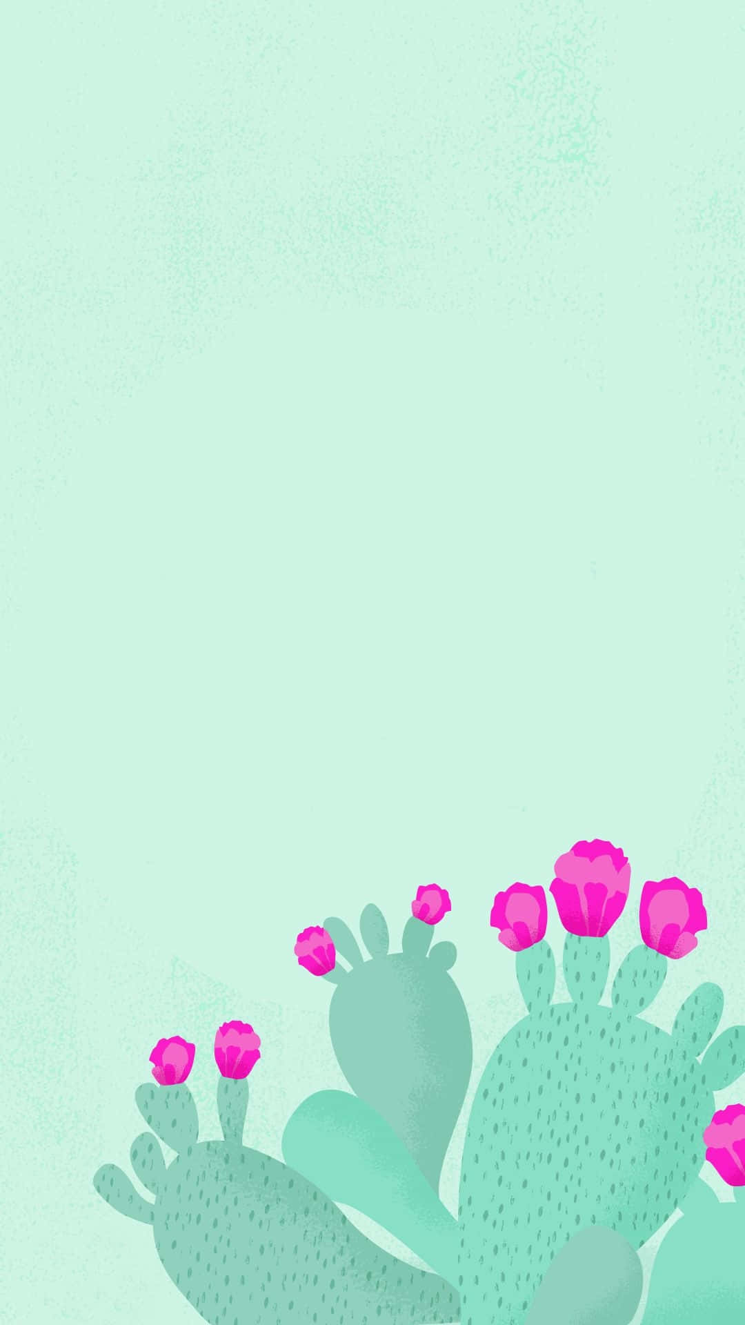 cactus, pink flowers, green background, Full HD Phone Wallpaper