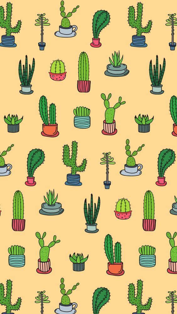 cactus, cartoon cacti, colorful pots, SD Phone Wallpaper