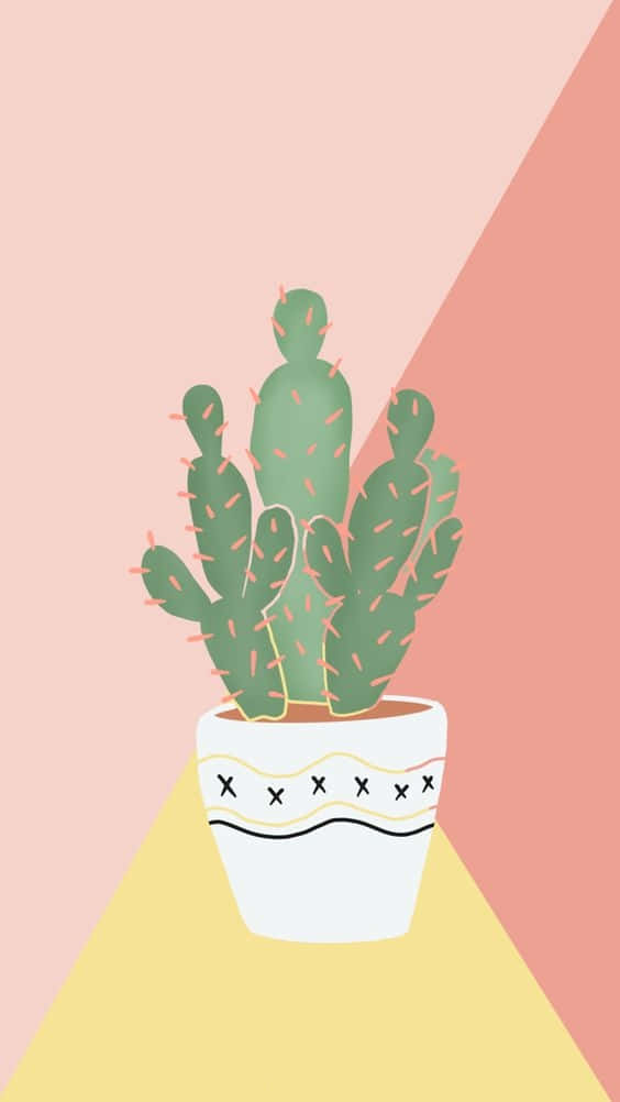 Cactus iPhone, green cactus, pink spines, SD Phone Wallpaper
