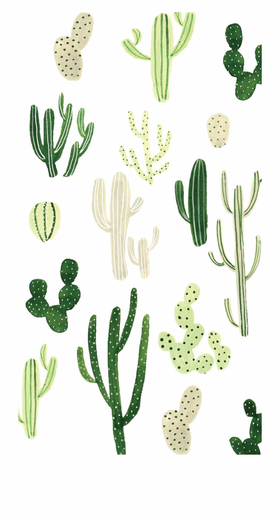 cactus print, stylized cacti, greens, HD Phone Wallpaper