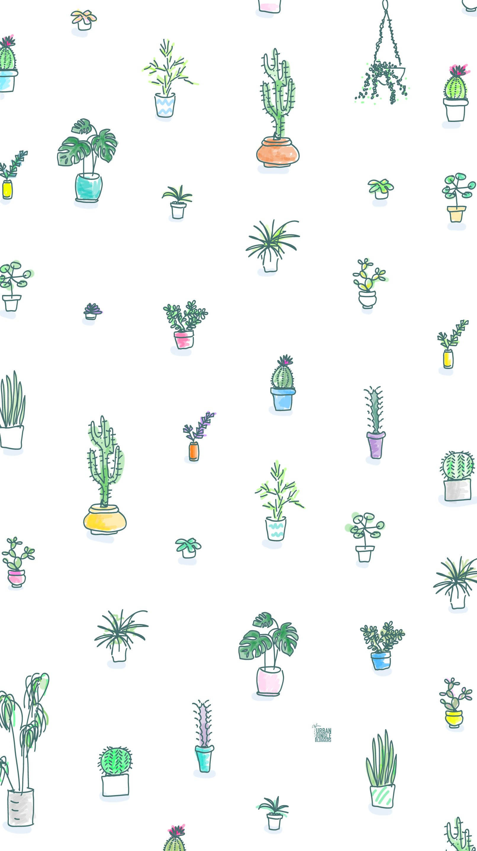 cactus plants, hand-drawn, pastel pots, 2K Phone Wallpaper