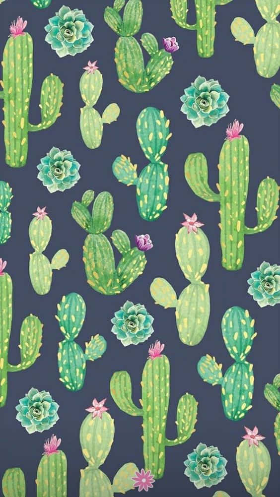Cactus iPhone, vibrant green, pink flowers, SD Phone Wallpaper