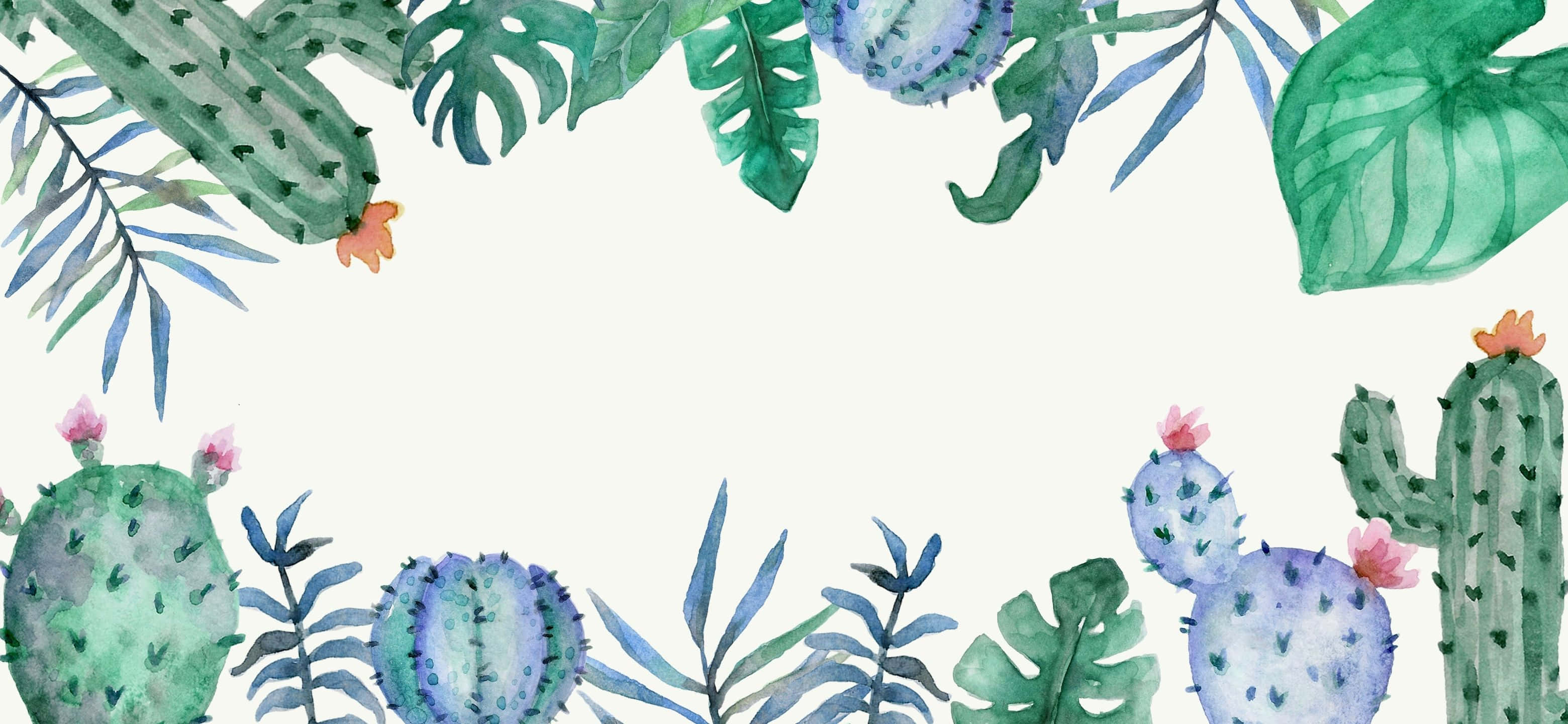 watercolor, tropical plants, cactus, 2K Desktop Wallpaper