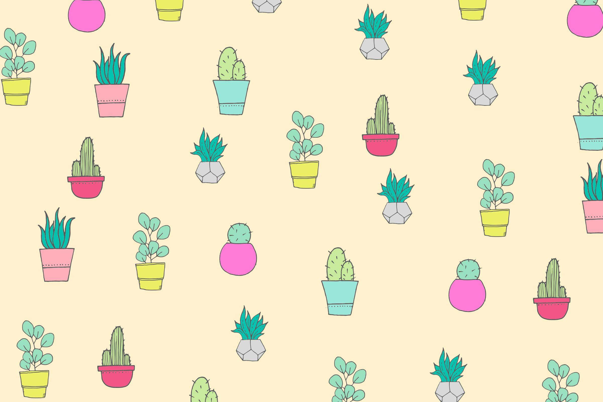 colorful cactus pattern, potted cacti, succulents, Full HD Desktop Wallpaper