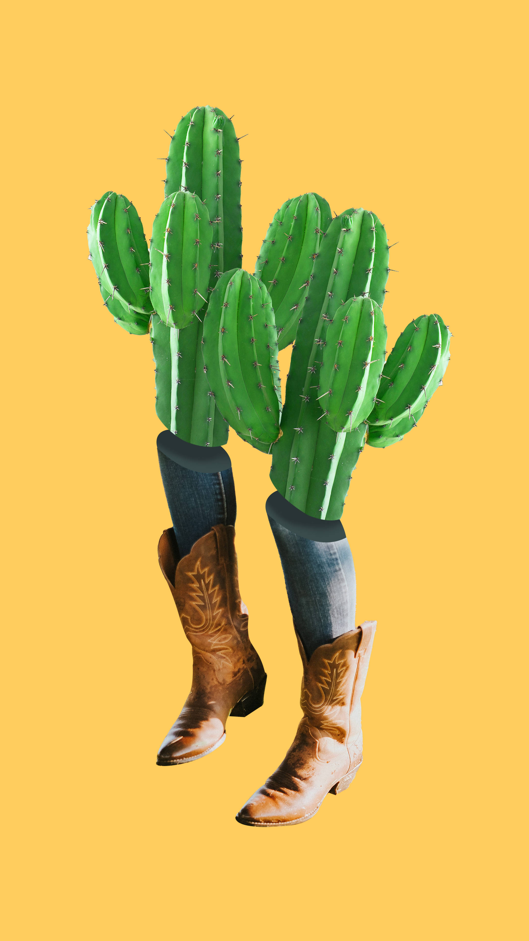 cacti boots, western aesthetic, jeans, 4K Phone Wallpaper
