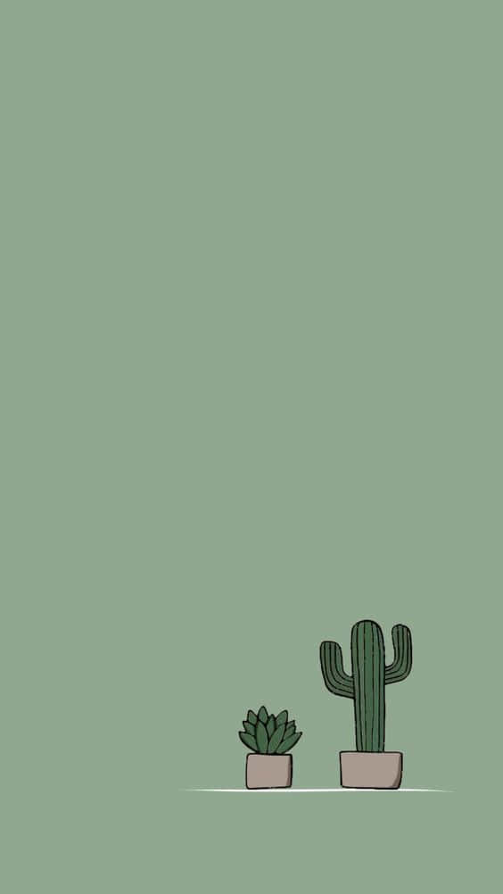 Cactus iPhone, plain green, sage green, SD Phone Wallpaper