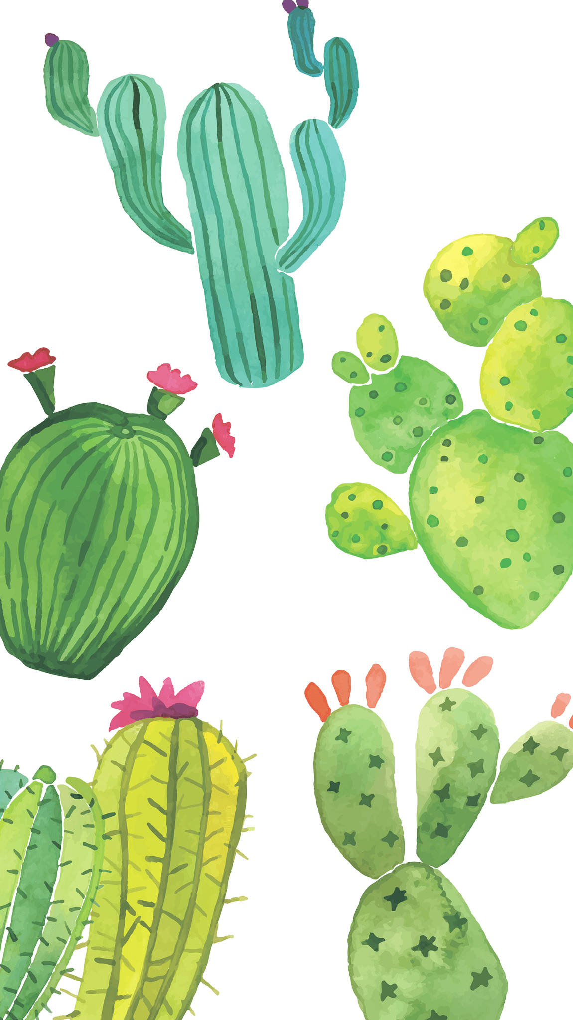 cute colorful cactus, vibrant watercolor cacti, pink flowers, Full HD Phone Wallpaper