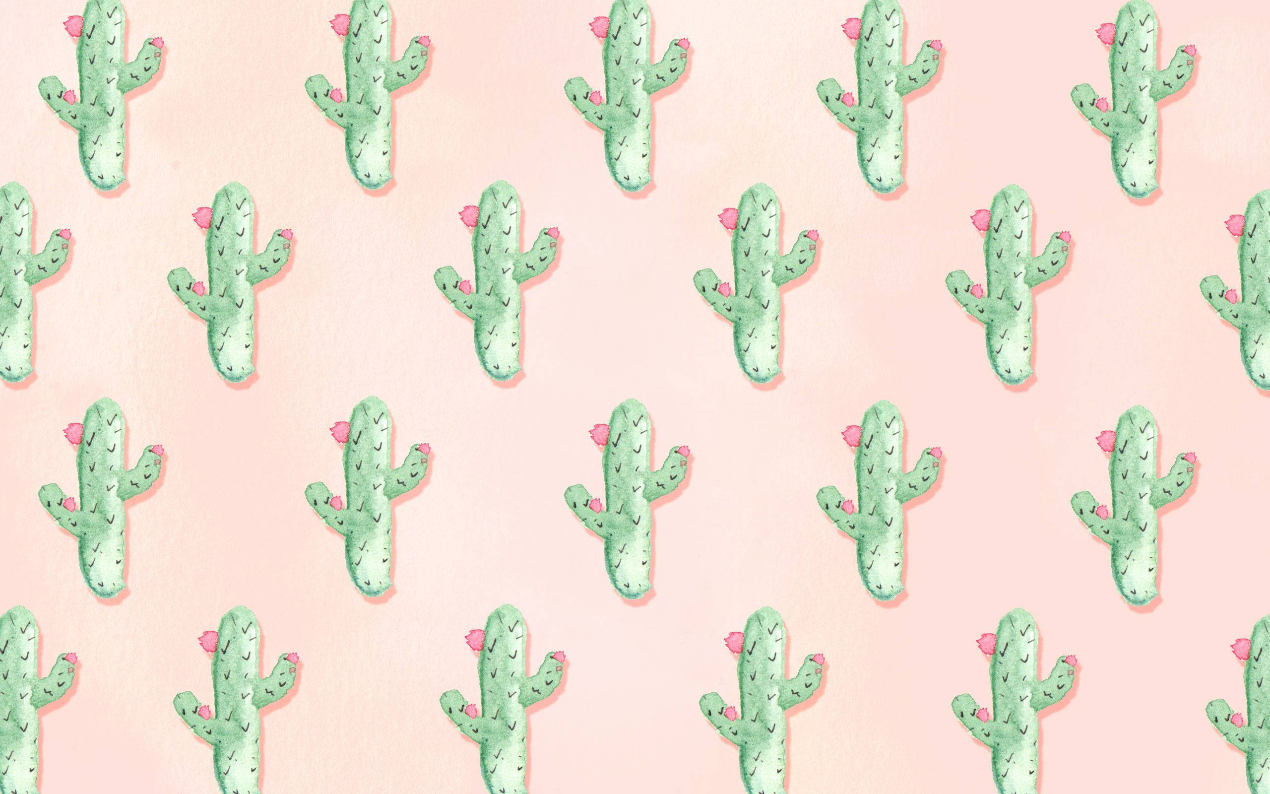 Summer Cute Cactus Laptop, pastel pink background, cute green cacti, 2K Desktop Wallpaper