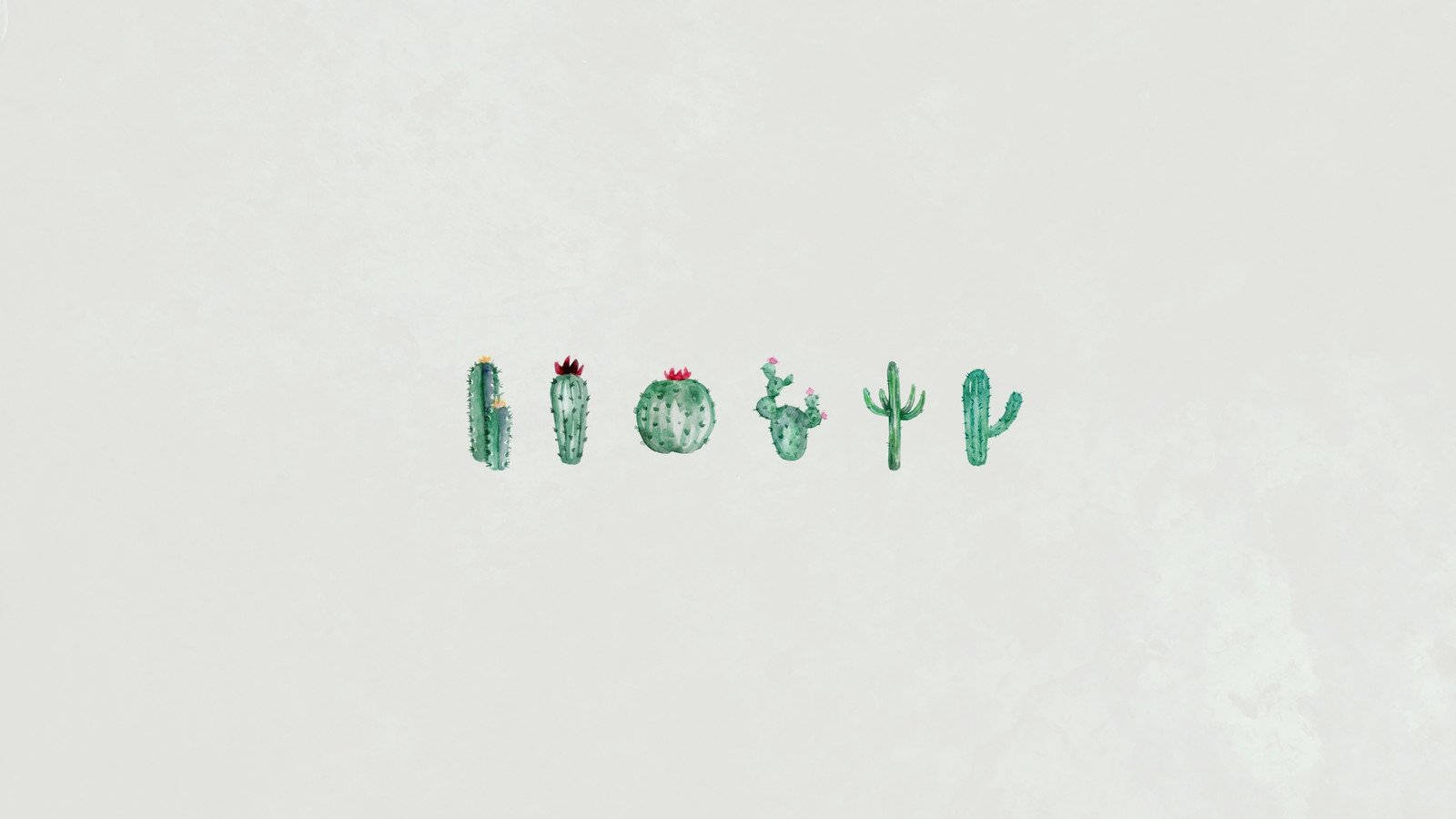 cute minimalist, stylized watercolor cacti, pink flowers, HD Desktop Wallpaper