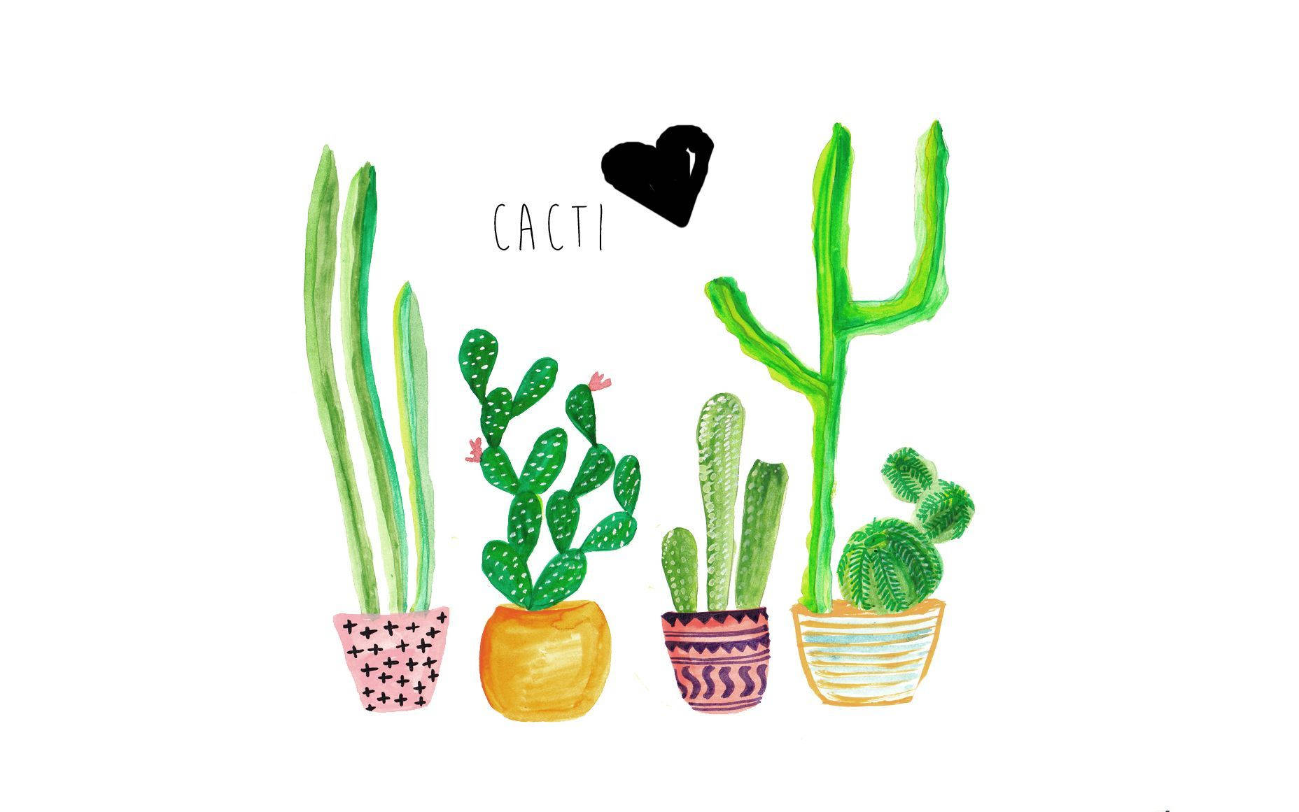 cute cacti, fuzzy cactus plants, colorful potted cacti, HD Desktop Wallpaper