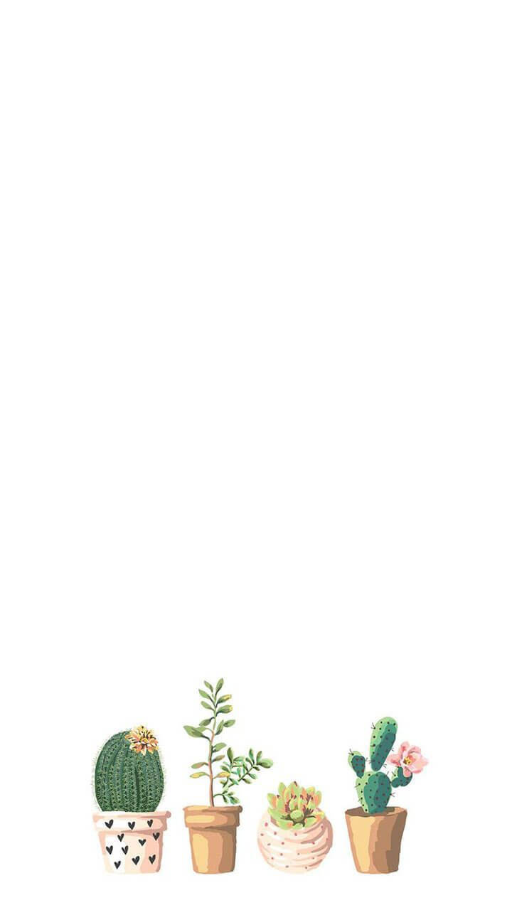 minimalist, white background, potted cactus, HD Phone Wallpaper