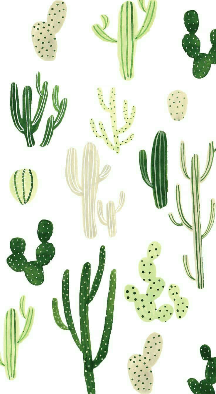 aesthetic cactus, green, cream, HD Phone Wallpaper