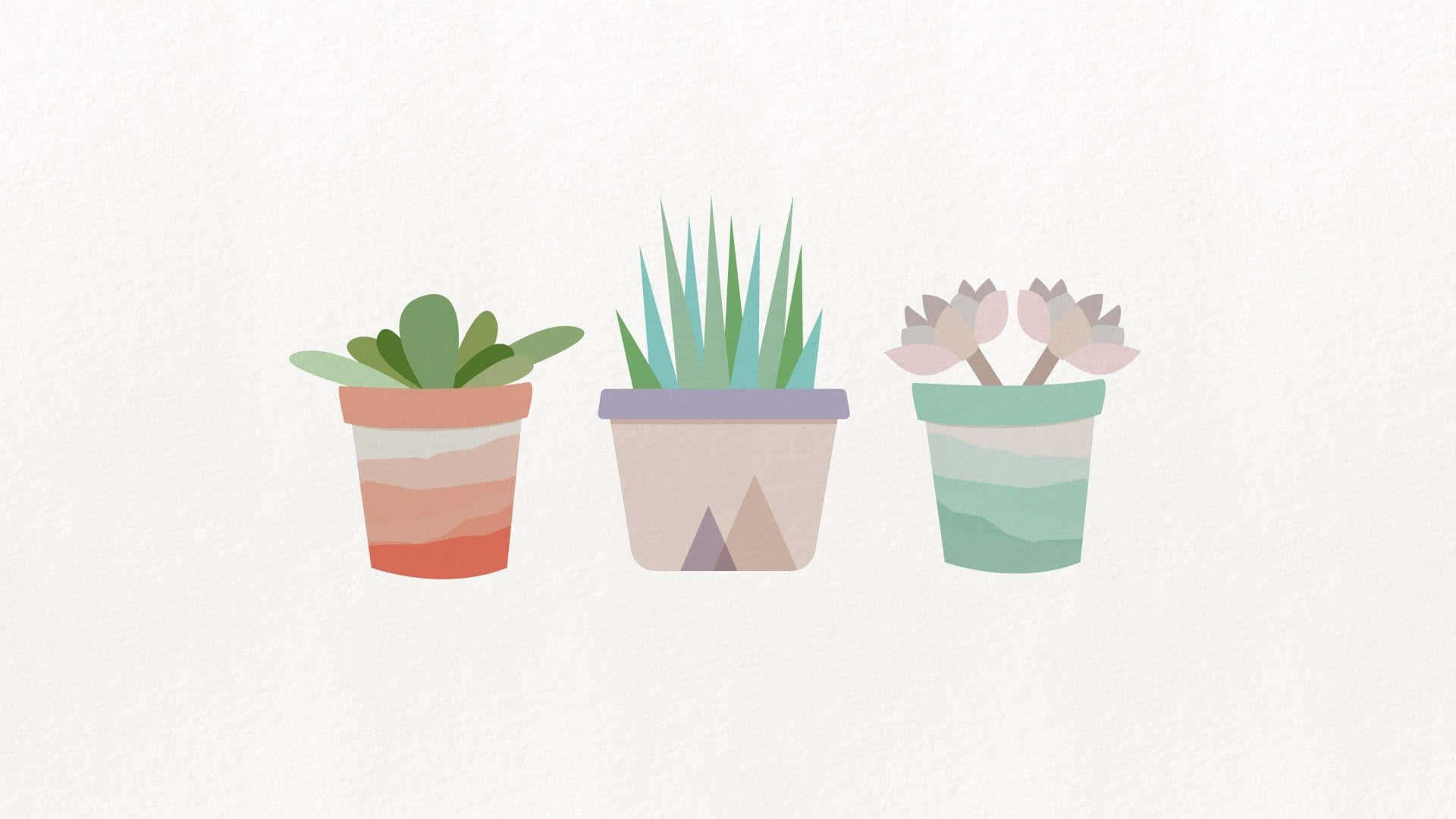 cute cactus, stylized potted succulents, geometric pots, Full HD Desktop Wallpaper