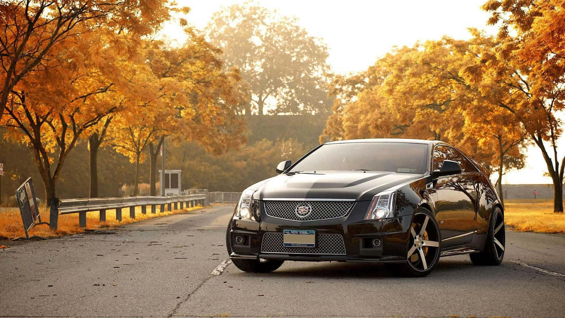 Cadillac CTS, black, golden autumn light, Full HD Desktop Wallpaper