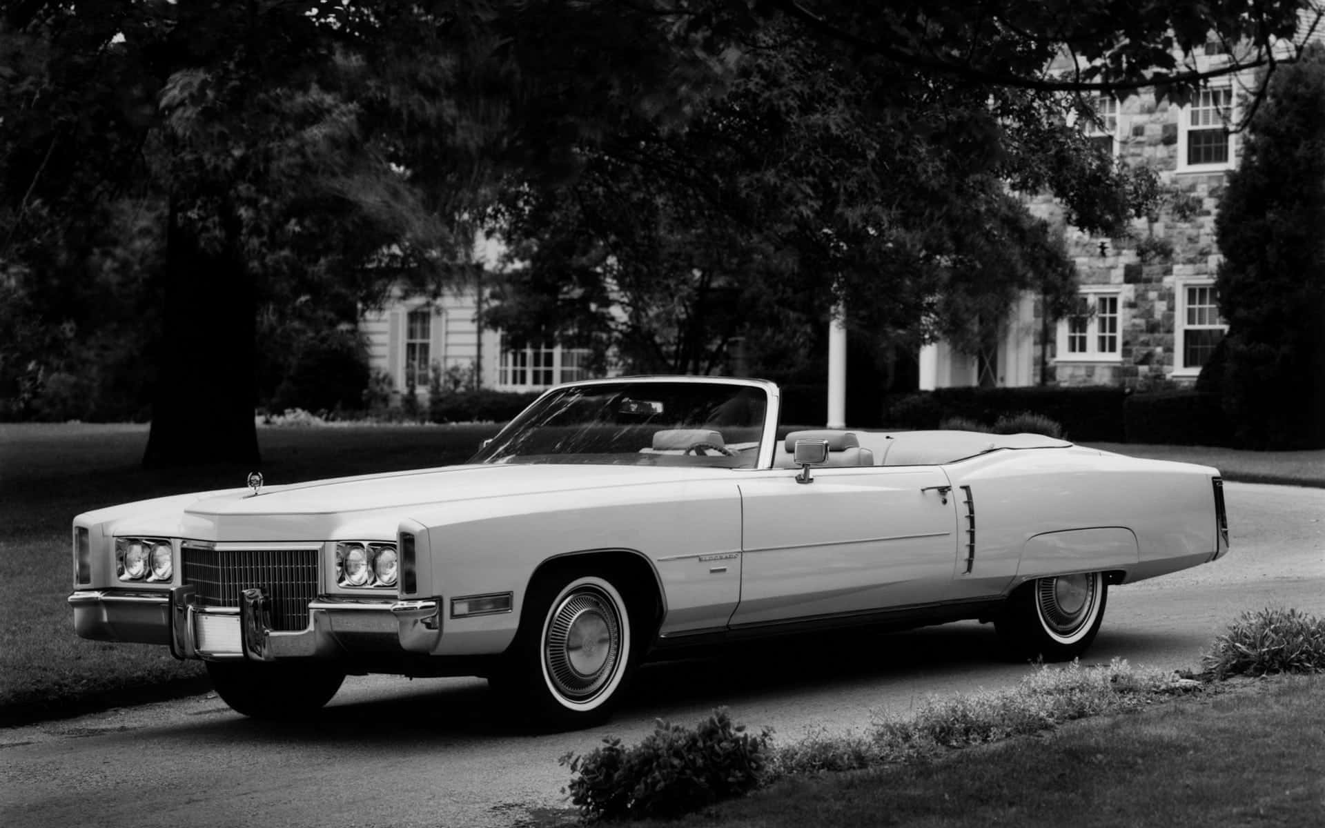 Cadillac Eldorado, white, convertible, Full HD Desktop Wallpaper