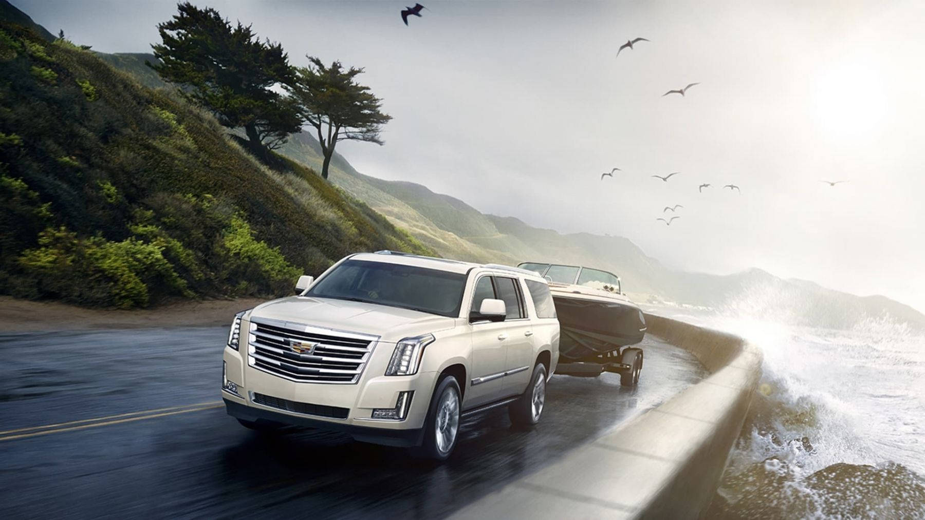 White Cadillac Escalade, cream SUV, coastal road, HD Desktop Wallpaper