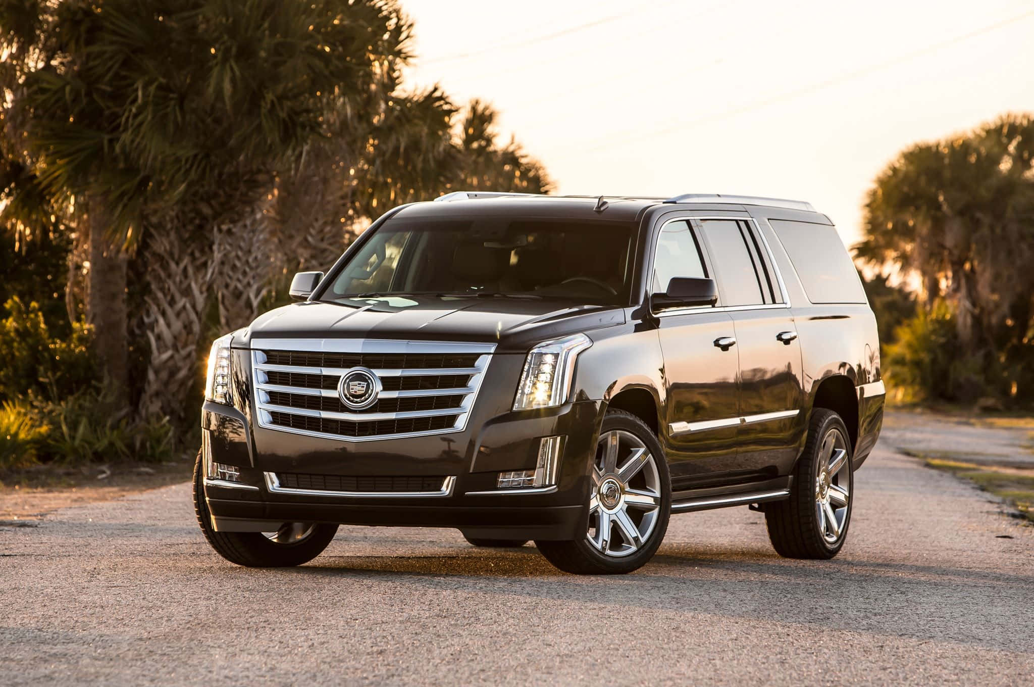 Cadillac Escalade, black, golden sunset light, Full HD Desktop Wallpaper
