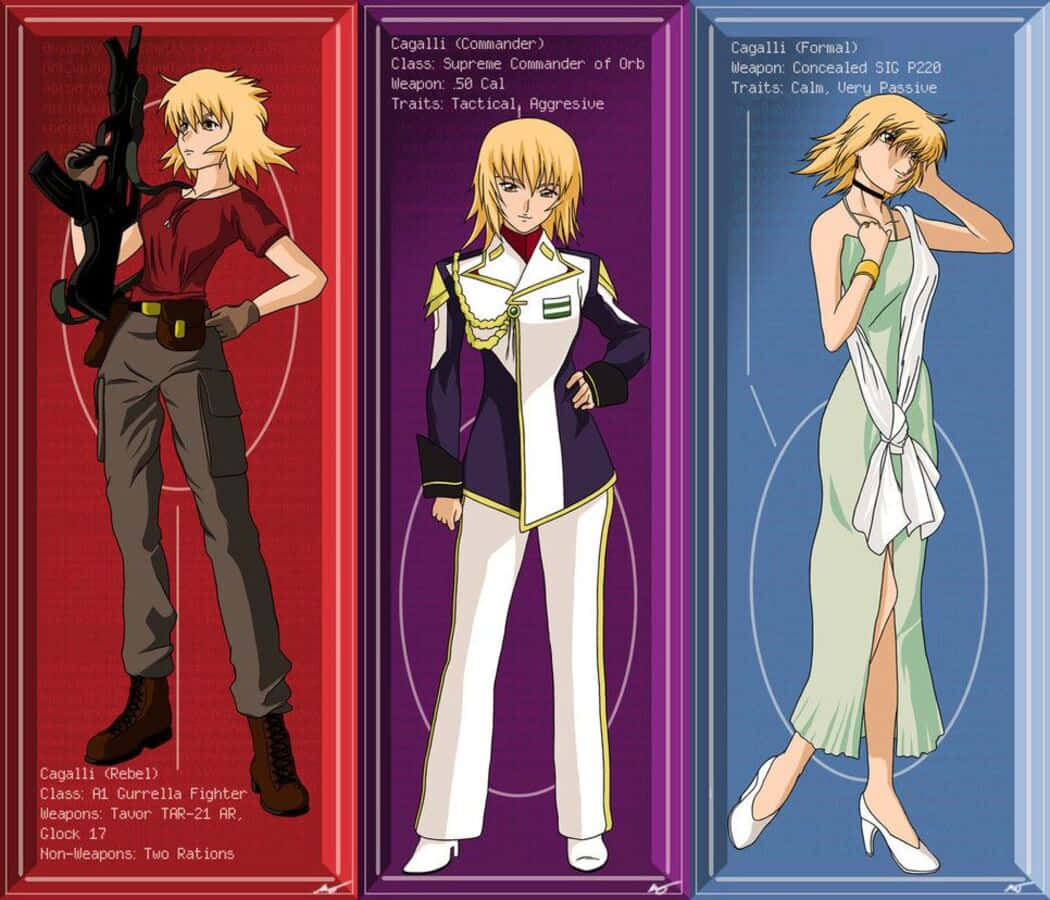 Cagalli Yula Athha, anime-style portraits, different outfits and roles, SD Desktop Wallpaper