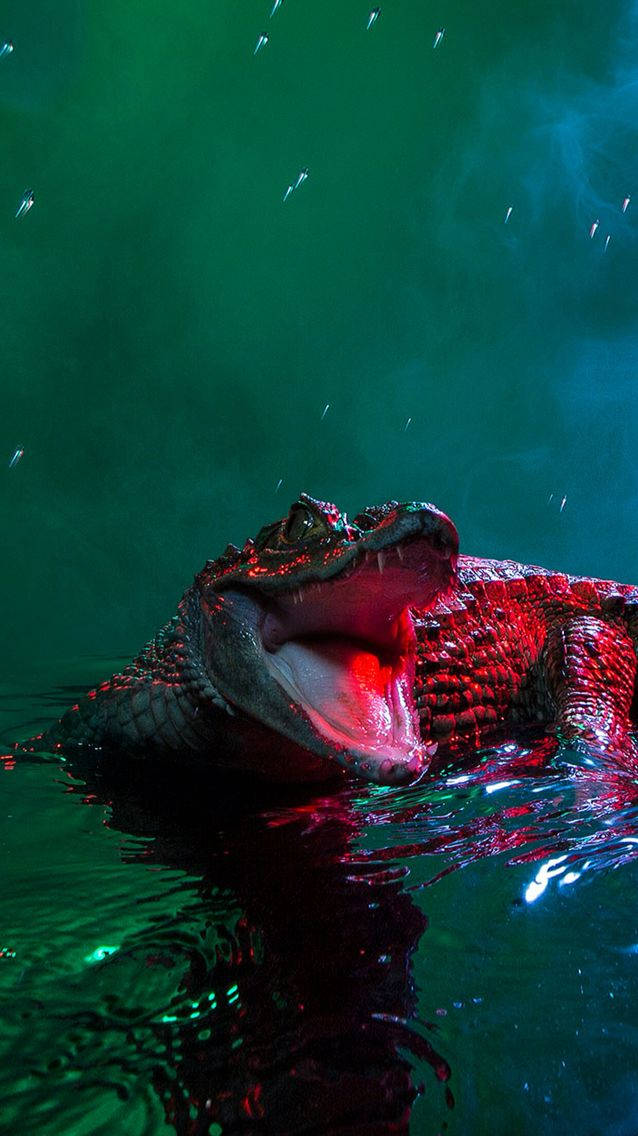 Caiman, glowing red interior, dark green water, SD Phone Wallpaper