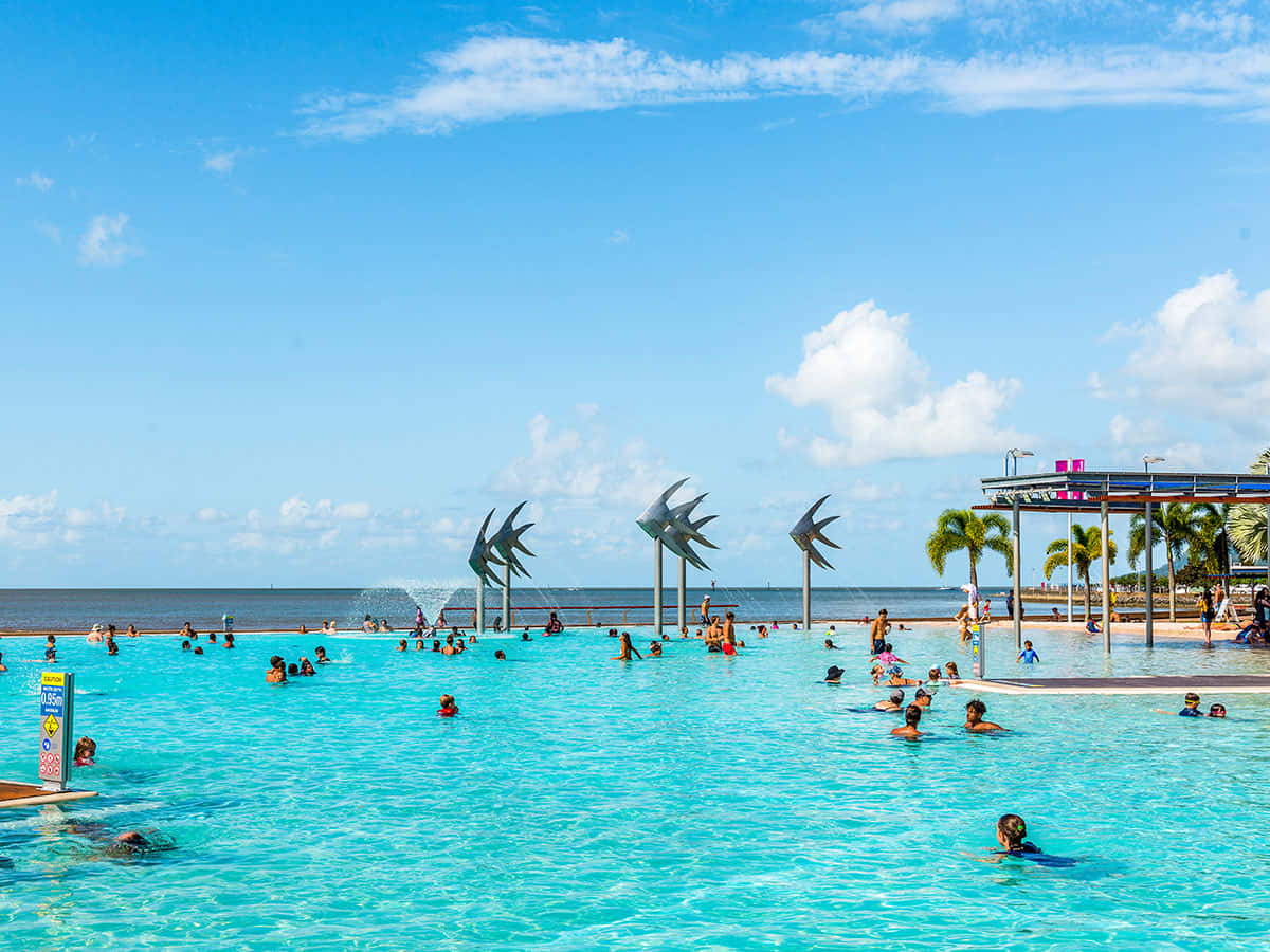Cairns, lush jungle, exotic fauna, SD Desktop Wallpaper