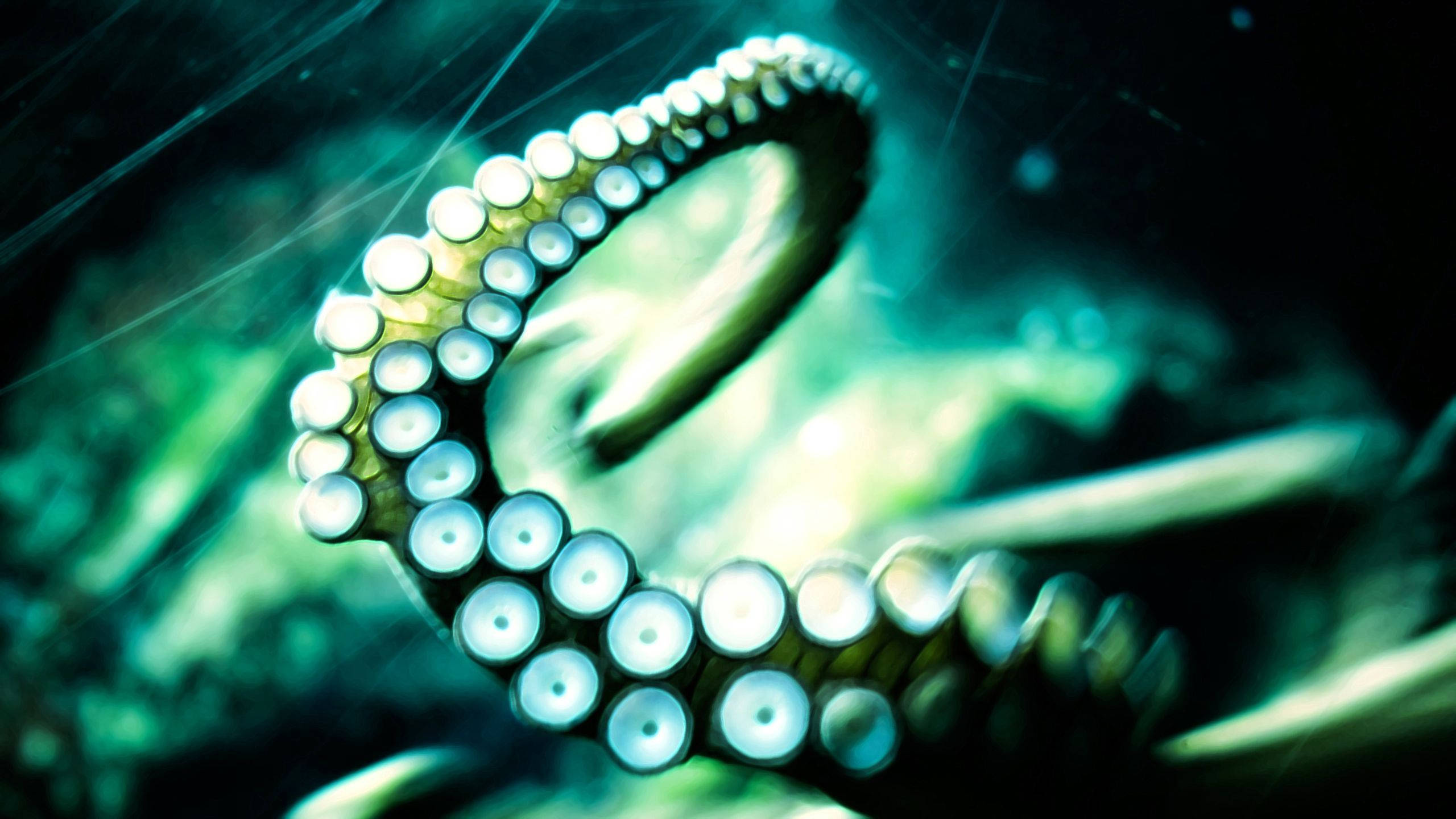 calamari tentacle, glowing suckers, murky teal water, 2K Desktop Wallpaper