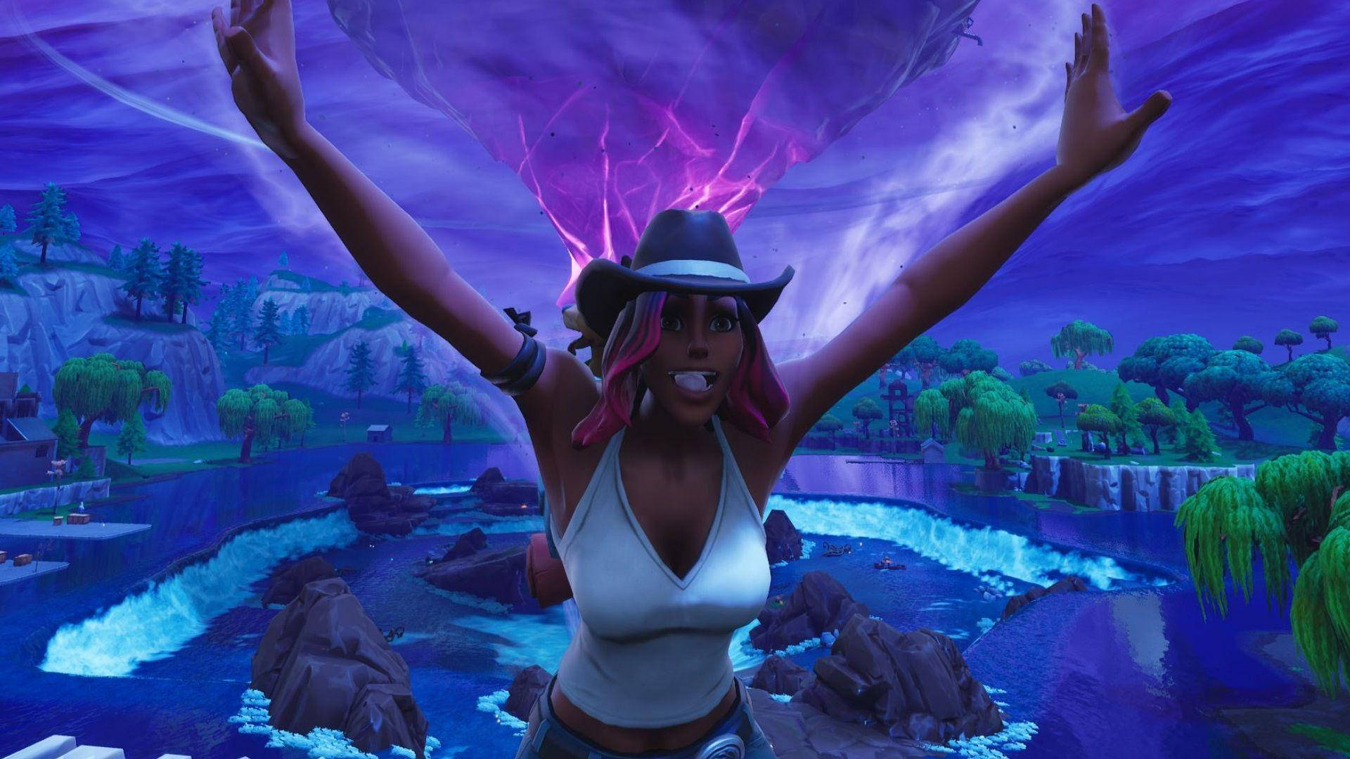 Calamity Fortnite, pink hair, cowboy hat, Full HD Desktop Wallpaper