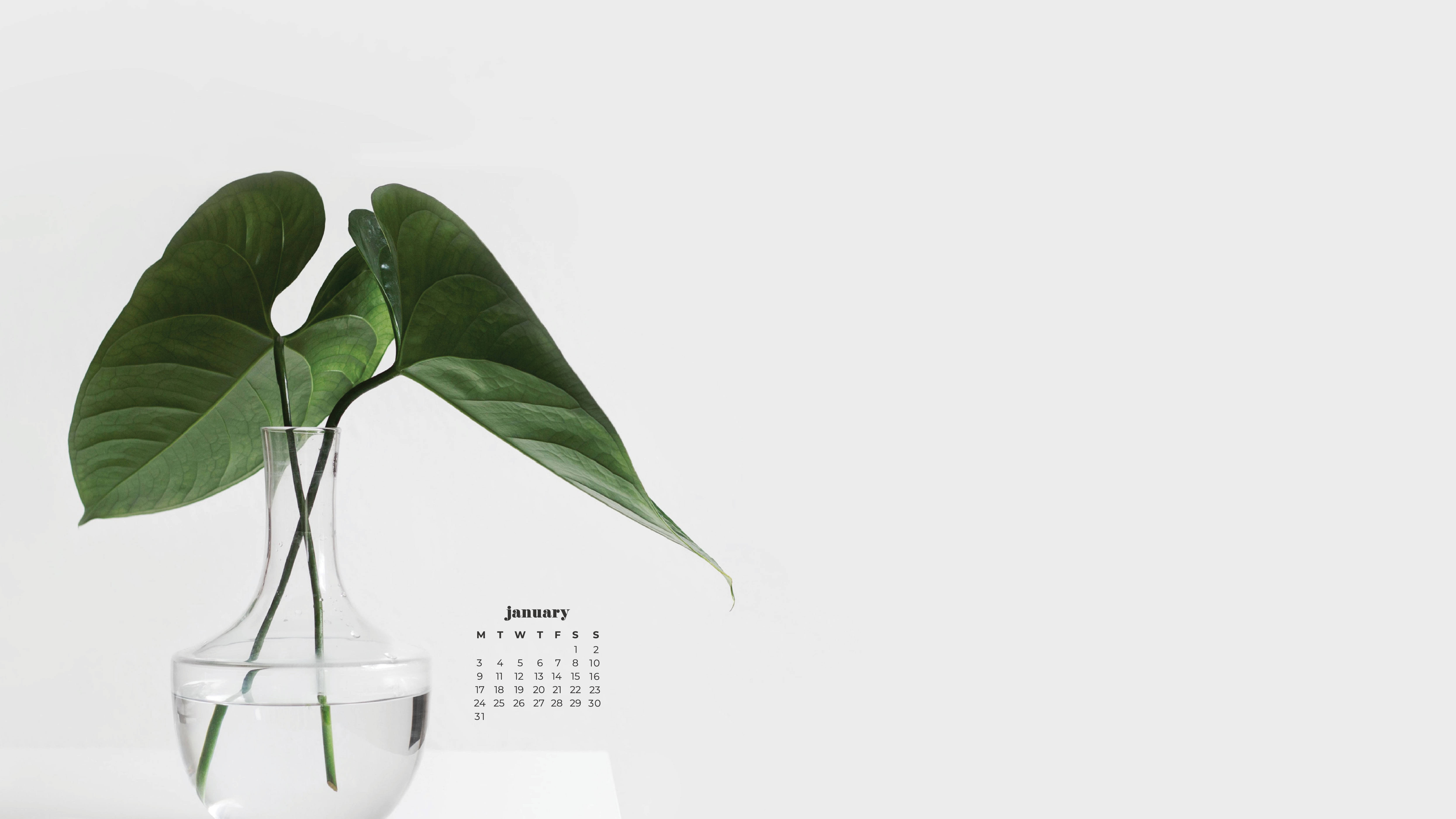 January calendar, green leaves, clear glass vase, 5K Desktop Wallpaper