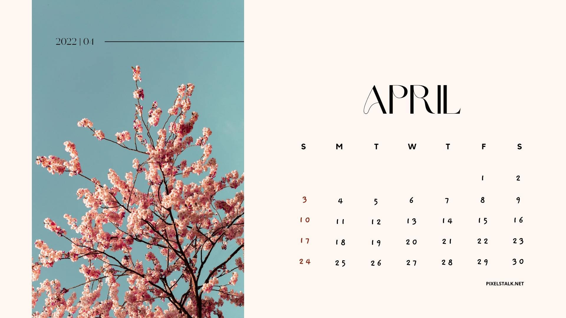 Cherry Blossoms April 2022 Calendar, pink cherry blossom branch, teal sky, Full HD Desktop Wallpaper