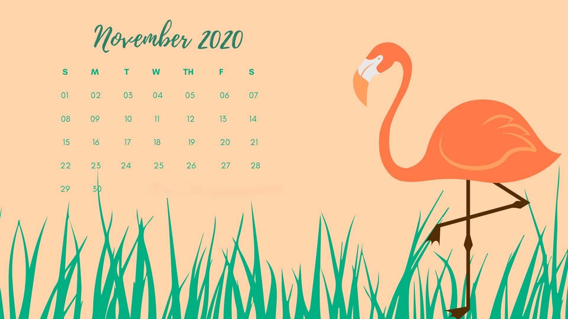 November 2020 Calendar, pink flamingo, green grass, Full HD Desktop Wallpaper