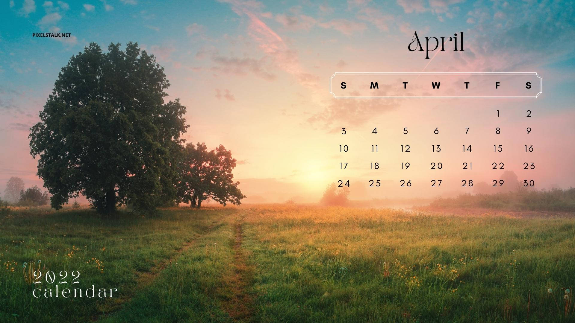 Sunset Field, April 2022, mist, Full HD Desktop Wallpaper