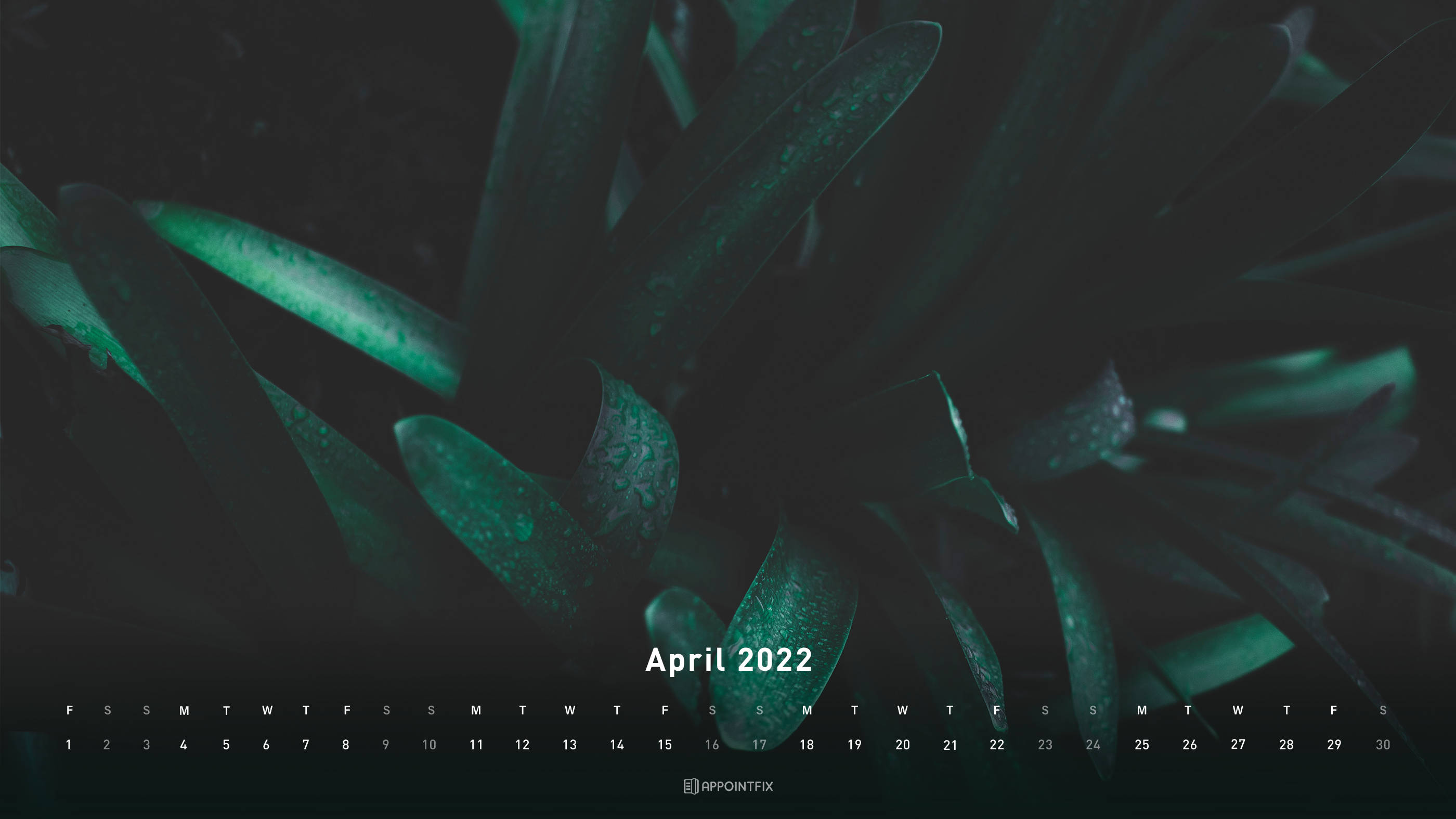 Green Plant April 2022 Calendar, April 2022 calendar overlay, dark green succulent leaves, 2K Desktop Wallpaper