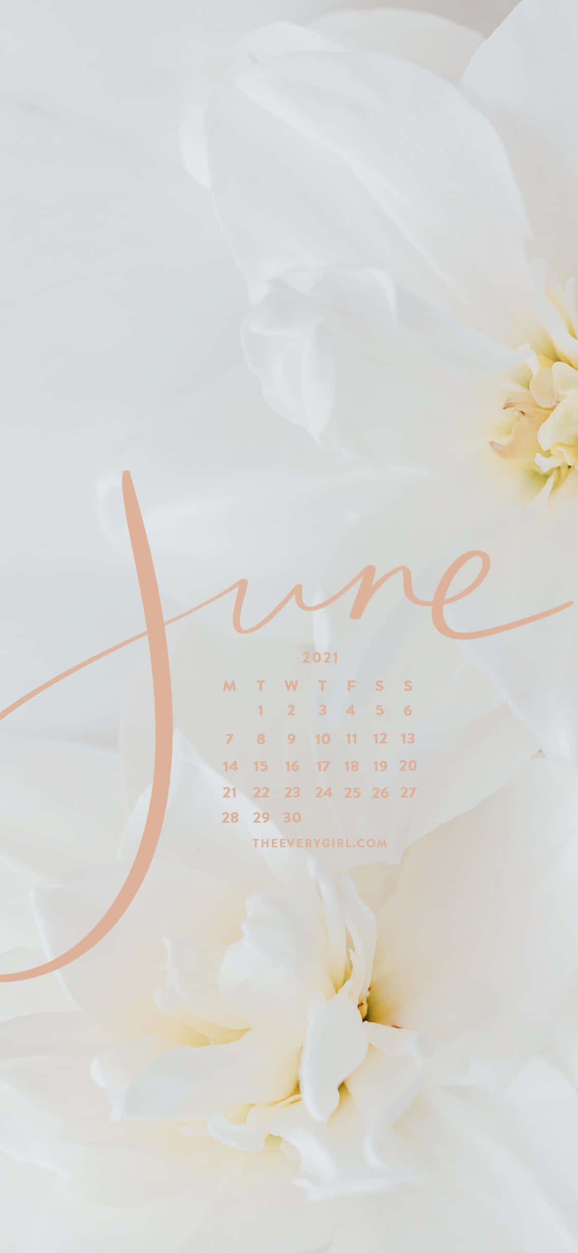 June calendar, white flowers, peach, Full HD Phone Wallpaper