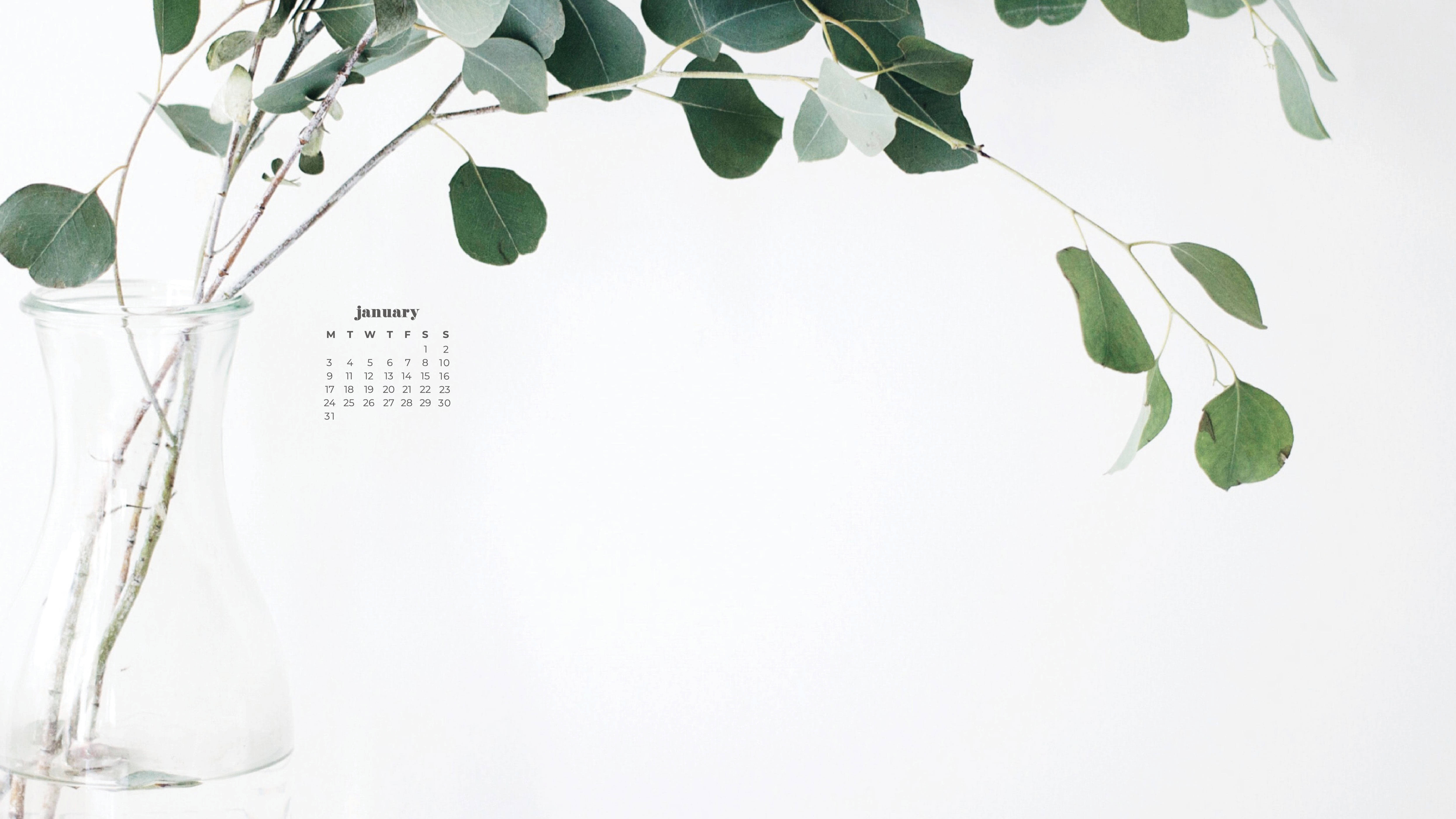 Eucalyptus January 2022 Calendar, eucalyptus branches, glass vase, 5K Desktop Wallpaper